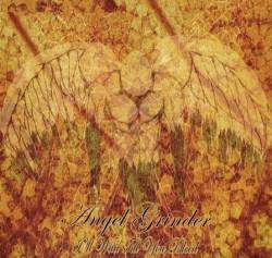 Angel Grinder : I'll Wait Till You Bleed